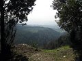 Fiesole - Parco di Montececeri-31